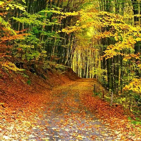 בית נופש La Grange