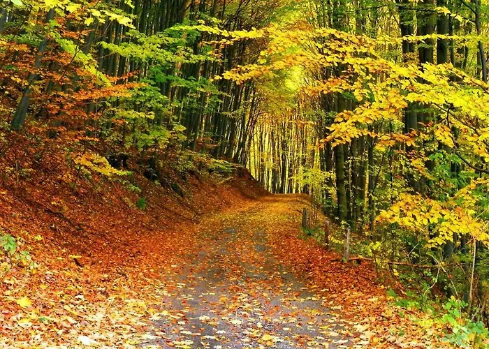 Holiday home La Grange